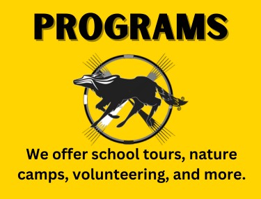Trickster Cultural Center Programs